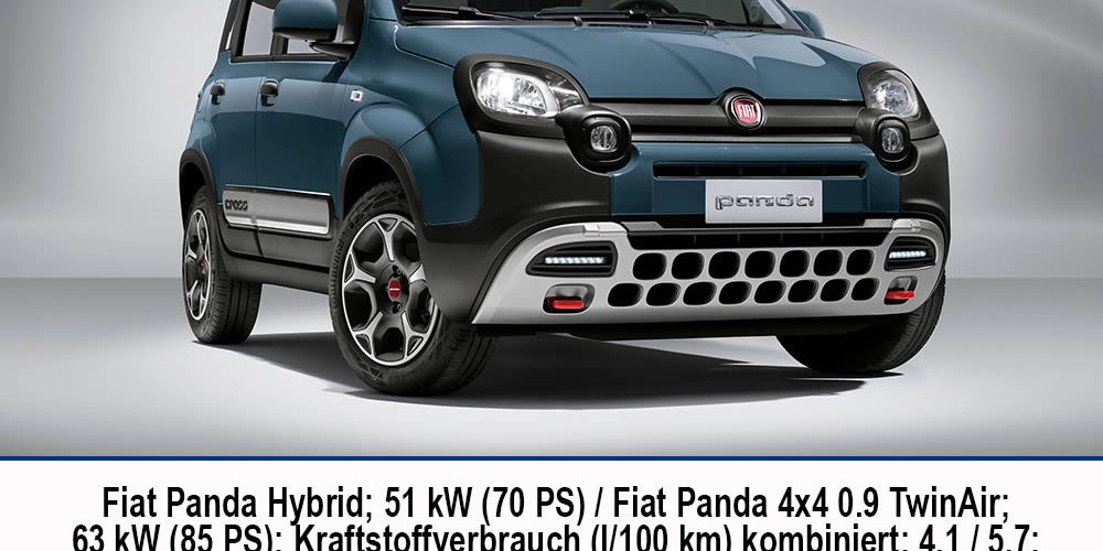 Auto des Monats November: Der Fiat Panda MJ 2021 - Autohaus Mayrhörmann