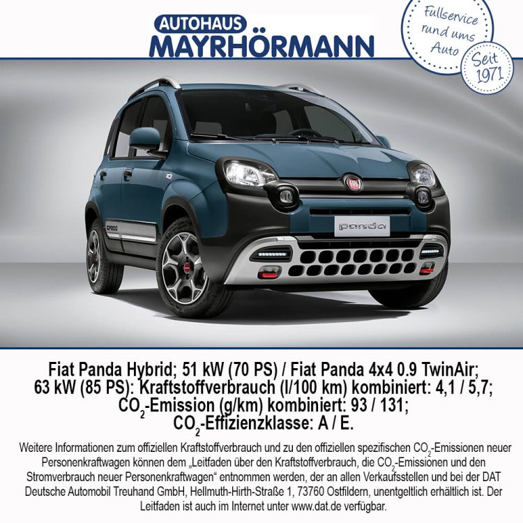Auto des Monats 11-2020 Fiat Panda – Blog News